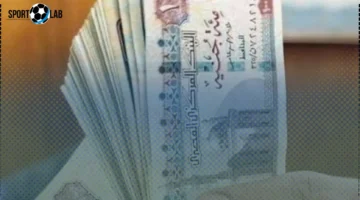 الحد الأدنى للأجور في نوفمبر 2025: تفاصيل الزيادات وتأمين صرف المرتبات